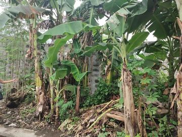 Clean title house and lot tanza