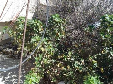 Casa sola en venta en Culturas de México, Chalco, México