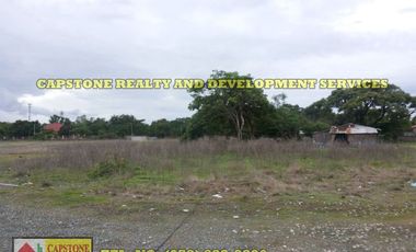 Acreage Beach Lot For Sale, Luna, La Union