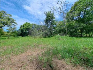 VENDO TERRENO - GALERA COMERCIAL