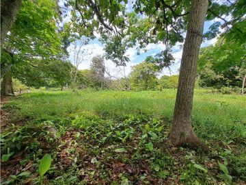 VENDO TERRENO - GALERA COMERCIAL