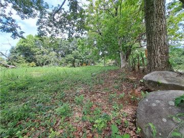 VENDO TERRENO - GALERA COMERCIAL