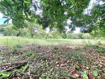 VENDO TERRENO - GALERA COMERCIAL