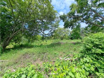 VENDO TERRENO - GALERA COMERCIAL