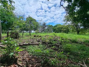VENDO TERRENO - GALERA COMERCIAL