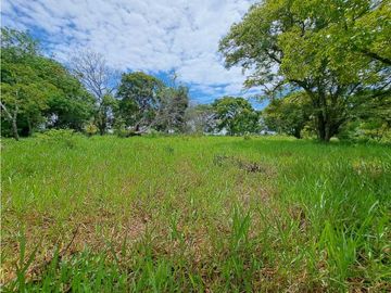 VENDO TERRENO - GALERA COMERCIAL