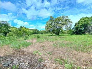 VENDO TERRENO - GALERA COMERCIAL