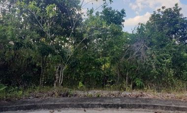 154 SQM Lot for sale in Greenville Subdivision at Casili Consolacion Cebu