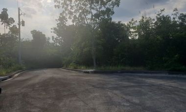 154 SQM Lot for sale in Greenville Subdivision at Casili Consolacion Cebu