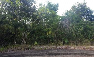 154 SQM Lot for sale in Greenville Subdivision at Casili Consolacion Cebu
