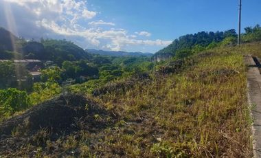108 Sqm Subdivision Lot for Sale in ASPEN HEIGHTS Consolacion Cebu with Mountain Views