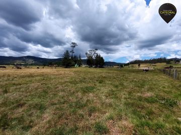 Terreno de venta en Tarqui - Redondel de Cumbe – código:17813