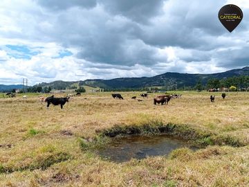Terreno de venta en Tarqui - Redondel de Cumbe – código:17813