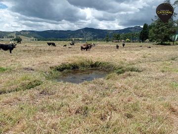 Terreno de venta en Tarqui - Redondel de Cumbe – código:17813