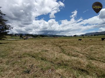 Terreno de venta en Tarqui - Redondel de Cumbe – código:17813
