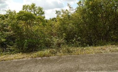 254 Sqm Overlooking Lot for Sale in Vista Grande Talisay Cebu City with Scenic Mountain Views
