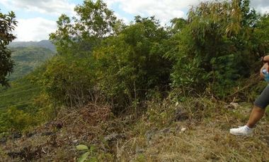 254 Sqm Overlooking Lot for Sale in Vista Grande Talisay Cebu City with Scenic Mountain Views