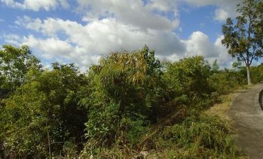 254 Sqm Overlooking Lot for Sale in Vista Grande Talisay Cebu City with Scenic Mountain Views