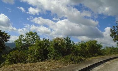 254 Sqm Overlooking Lot for Sale in Vista Grande Talisay Cebu City with Scenic Mountain Views