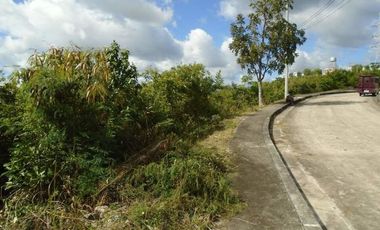 254 Sqm Overlooking Lot for Sale in Vista Grande Talisay Cebu City with Scenic Mountain Views