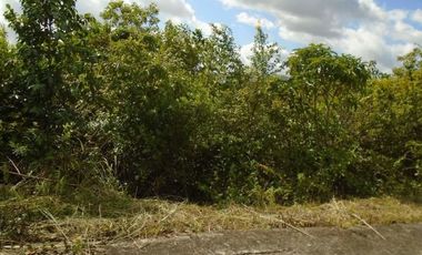 254 Sqm Overlooking Lot for Sale in Vista Grande Talisay Cebu City with Scenic Mountain Views