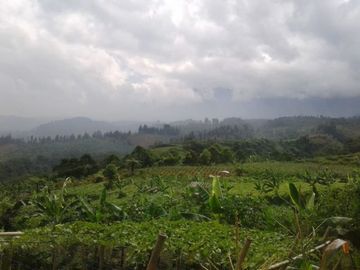 Jual Tanah Pertanian Murah 23 Ha Di Kadudampit Kota Sukabumi