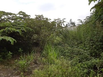Tanah di Pamulang Timur, Tangsel.Dekat Sekolah Muhammadiyah