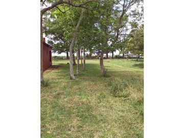 Campo en venta en Pila. 300 has. mixto