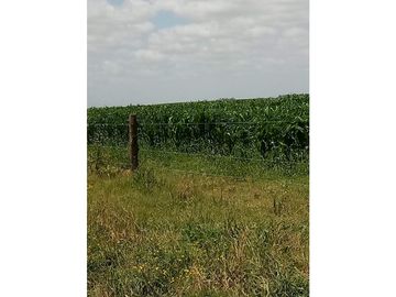 Campo en venta en Pila. 300 has. mixto