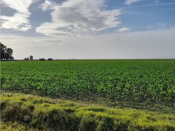 Campo en venta en Pila. 300 has. mixto