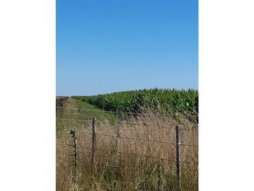 Campo en venta en Pila. 300 has. mixto