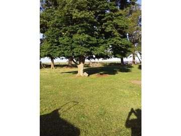 Campo en venta en Pila. 300 has. mixto