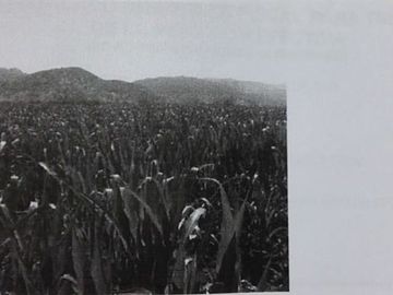 Sitio en Venta en Santa Cruz