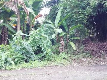 Land for lease in Buwit near Canggu Bali
