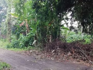 Land for lease in Buwit near Canggu Bali