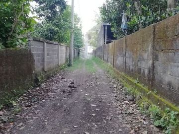 Land for lease in Buwit near Canggu Bali