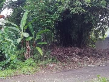 Land for lease in Buwit near Canggu Bali