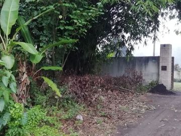 Land for lease in Buwit near Canggu Bali
