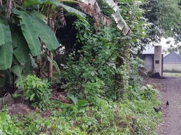 Land for lease in Buwit near Canggu Bali