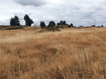 Sitio en Venta en Camino Paso La Botella Pantanosa