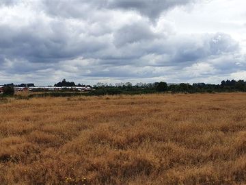 Sitio en Venta en Camino Paso La Botella Pantanosa