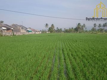 Tanah sawah produktif di Sukamanah, Cianjur | ATANGS