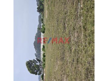 VENDO ESPECTACULAR TERRENO DE 20,000 M2 UBICADO EN BUJAMA BAJA  AL COSTADO DEL ESTADIO MUNICIPAL Y A 1 CDRA DE LA PANAMERICANA SUR KM 92, DISTRITO DE
