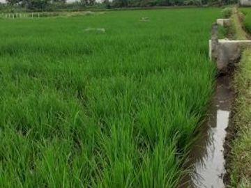 DIJUAL CEPAT TANAH SUDAH DI KAVLING DI DAERAH CIBIRU