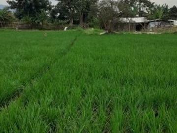 DIJUAL CEPAT TANAH SUDAH DI KAVLING DI DAERAH CIBIRU