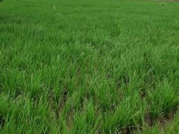 DIJUAL CEPAT TANAH SUDAH DI KAVLING DI DAERAH CIBIRU