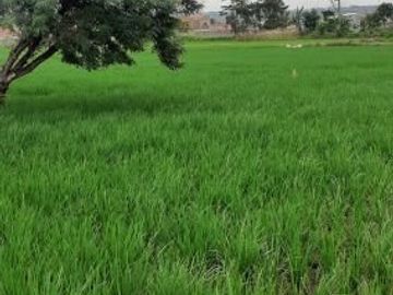 DIJUAL CEPAT TANAH SUDAH DI KAVLING DI DAERAH CIBIRU