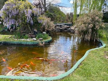 Quinta en venta en Virrey del Pino
