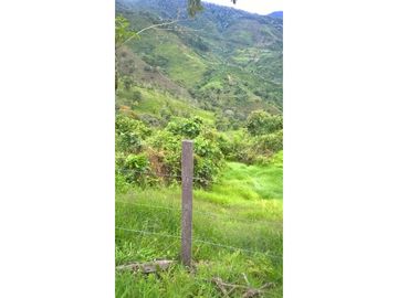 VENTA FINCA GENOVA QUINDIO