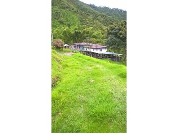 VENTA FINCA GENOVA QUINDIO